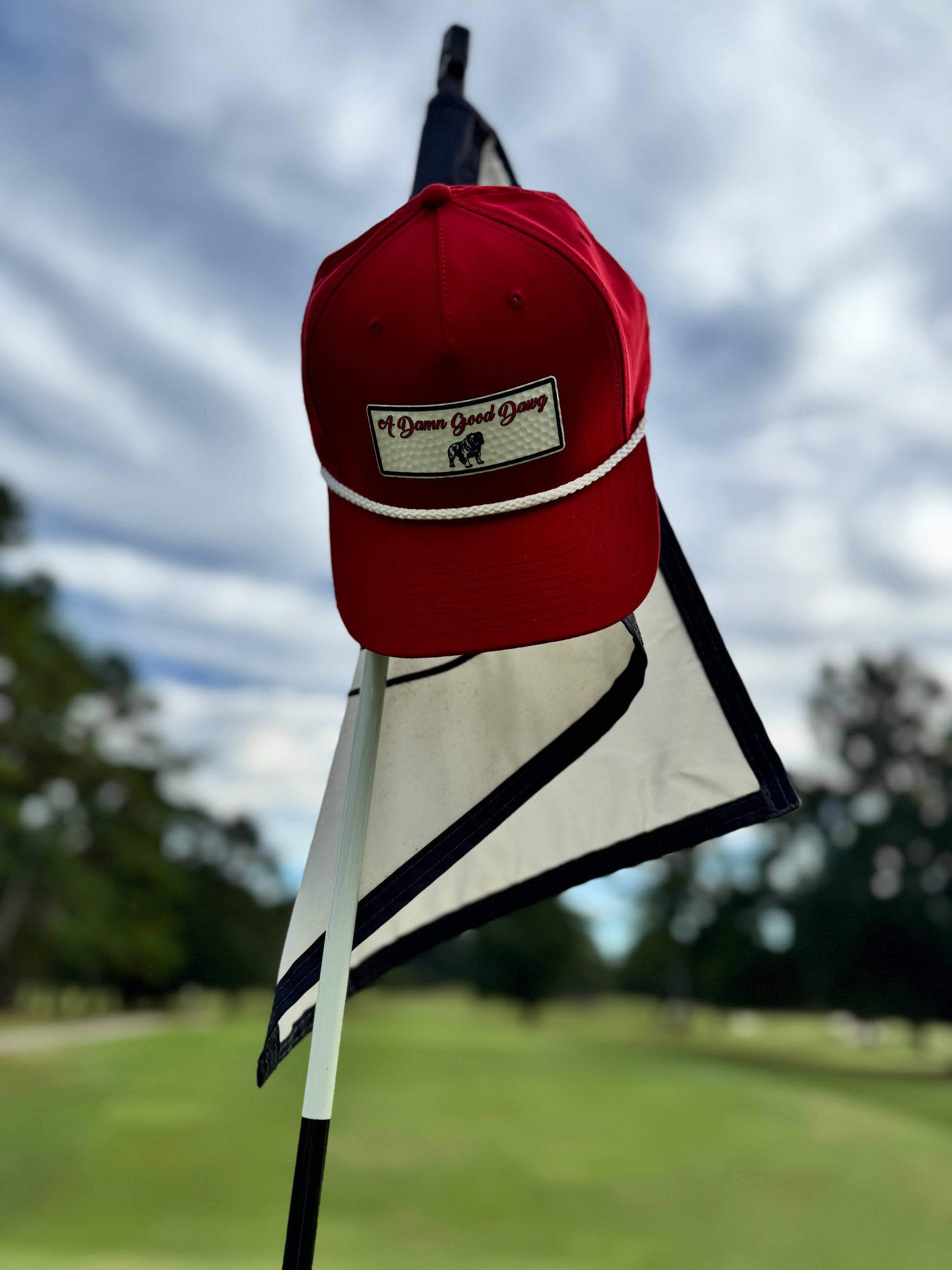 Tailgate Collection - Damn Good Dawg