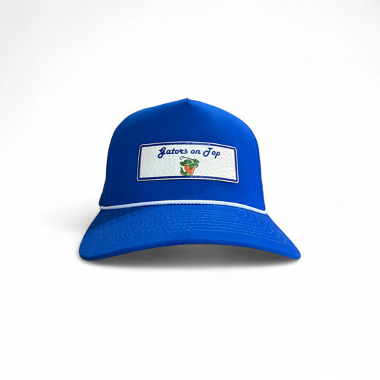 Gators on Top