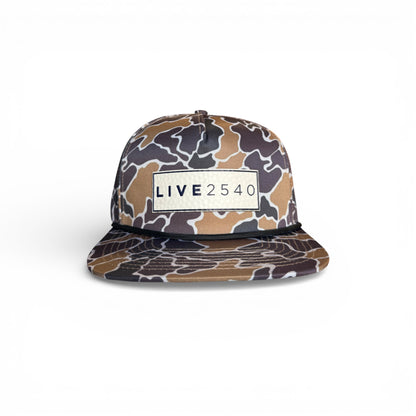Live 2540 Collab